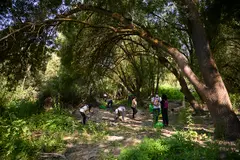 El plástico constituye el 42% de la basura en la naturaleza española según el Proyecto LIBERA