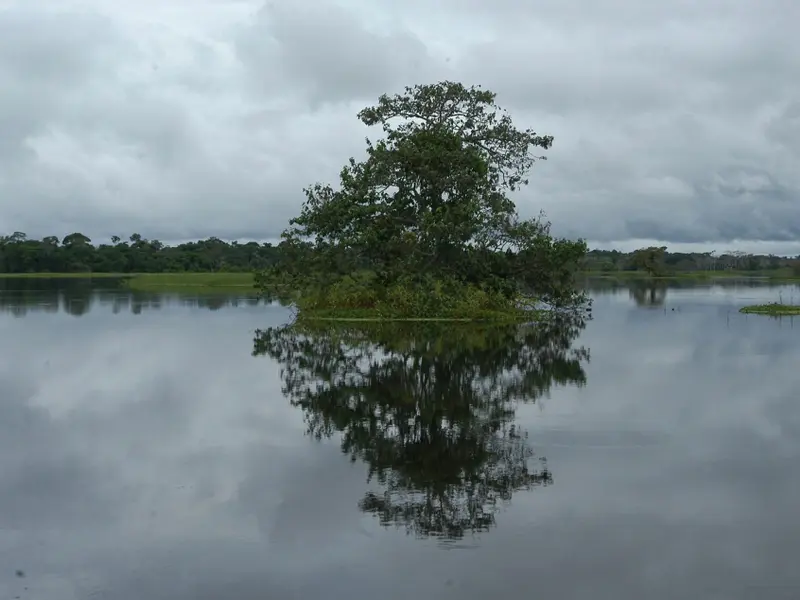 El reporting de sostenibilidad como motor de innovación y financiación empresarial