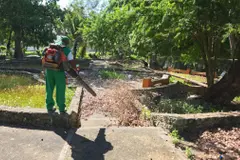 Mejora en parque Domingo Liz promueve sostenibilidad y recuperación de espacios verdes