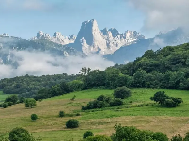 Aragón se propone plantar 2 millones de árboles en su Plan de Reforestación 2024-2027