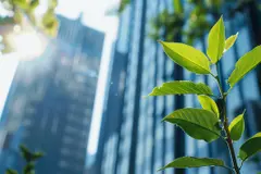 Descarbonización empresarial: claves para una economía sostenible hacia 2026