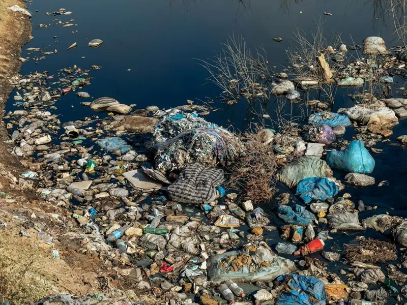 España incumple directiva europea contra delitos ecológicos a tiempo