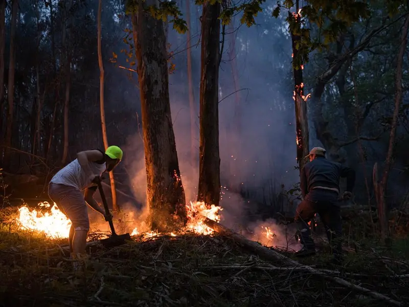 Incendios forestales arrasan 26.794 hectáreas en España en 2026, según Copernicus