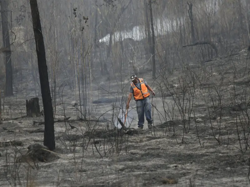 Los incendios forestales destruyen 157 millones de hectáreas en el primer cuatrimestre de 2026
