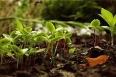 La producción ecológica en Navarra crece y se consolida con más de 72.000 hectáreas certificadas