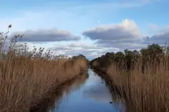Inversión de 600.000 euros para mejorar s’Albufera de Mallorca tras 8 años sin actividad