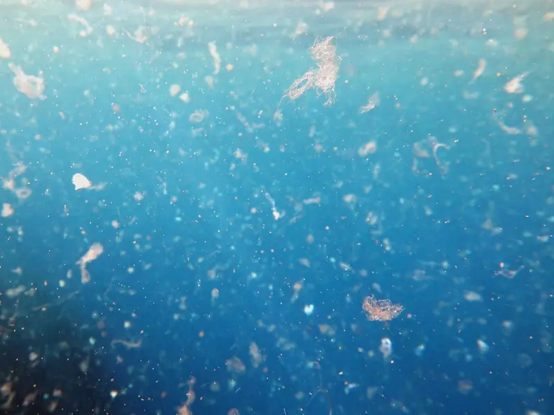 Investigadoras detectan microplásticos en una isla de la Antártida