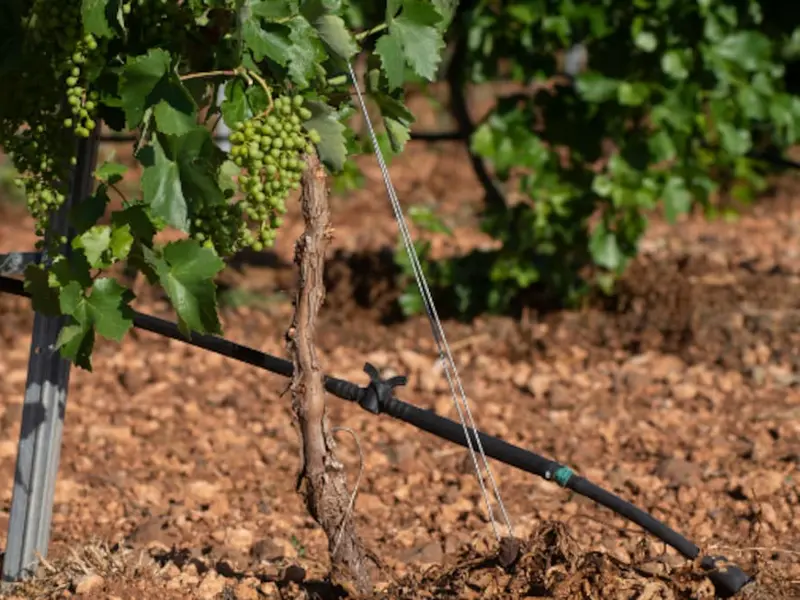 Ciudad Real acoge el 16º Congreso Nacional de Regantes centrado en sostenibilidad y eficiencia