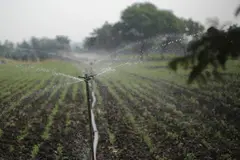 La importancia del agua regenerada para combatir la sequía en España