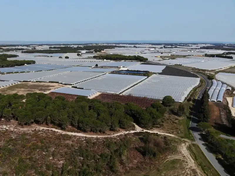 Agricultores de Doñana, fundamentales para la gestión sostenible del agua