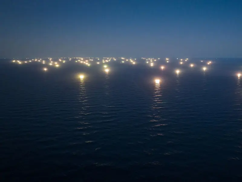 La pesca ilegal de buques chinos daña irreversiblemente ecosistemas marinos