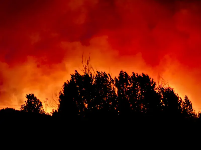 Incendio en Villanueva de Huelva consume 3.600 hectáreas y obliga a desalojos