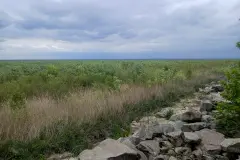 La naturaleza se recupera en el embalse de Kajovka, tres años después del desastre