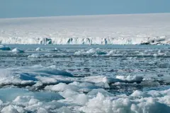 La contaminación por mercurio en la Antártida aumenta un 160 % debido al deshielo