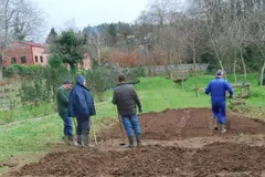 Últimas plazas para el taller de injertos de primavera en Oleiros