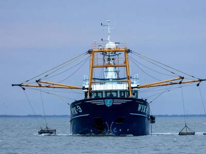Oceana insta a cumplir las normas pesqueras de la UE para una pesca sostenible