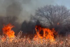 Incendios forestales en Cantabria: situación crítica con dos focos activos