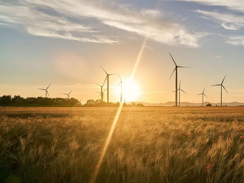 La ONU advierte sobre la importancia de la transición a energías limpias para la economía global
