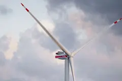 Investigación en Países Bajos prueba palas rojas en aerogeneradores para proteger aves