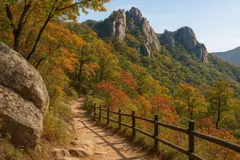Confirman la primera cría de búho en peligro en el Parque Nacional de Palgongsan