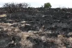 El norte de Gales enfrenta sequía y daños por incendio forestal