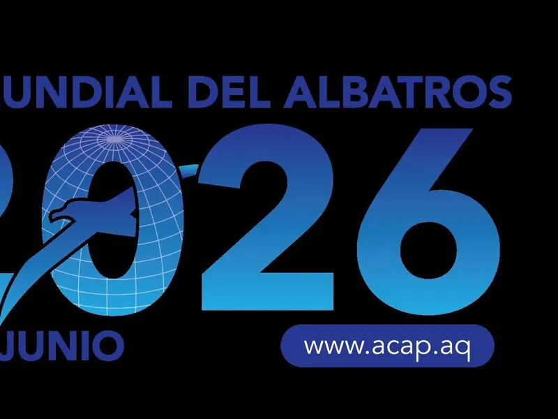Día Mundial de los Albatros 2026: las aves marinas en peligro crítico