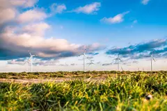 Suecia lidera el consumo de energía renovable en la UE con un 65,4%