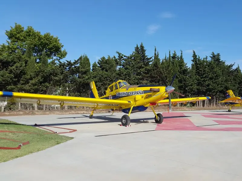 Aumento del 122% en hectáreas quemadas por incendios forestales en España en el primer trimestre de 2026