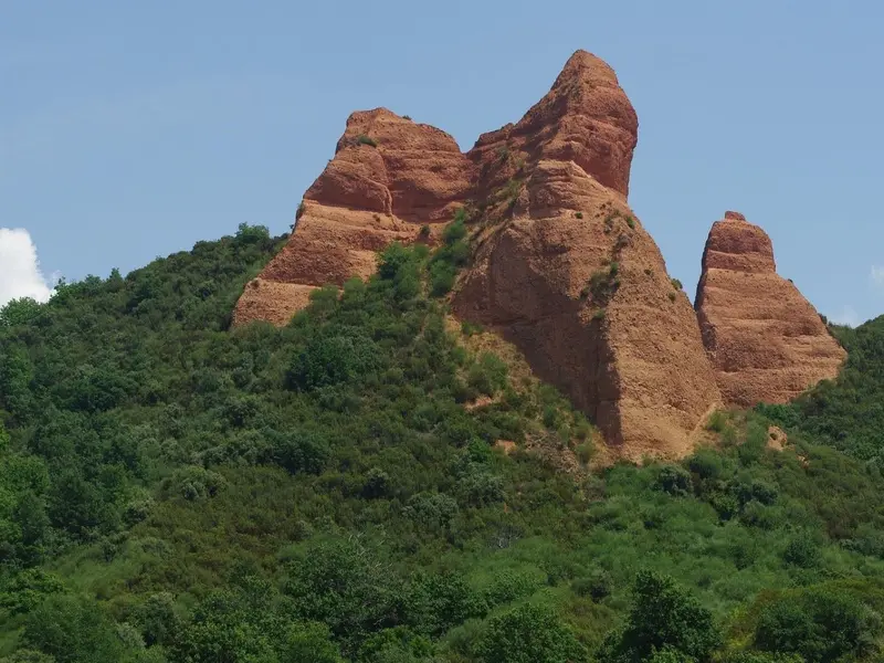 El Bierzo: laboratorio forestal contra plagas y cambio climático