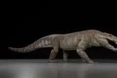 Descubren fósil de un depredador prehistórico en Patagonia que cazaba dinosaurios