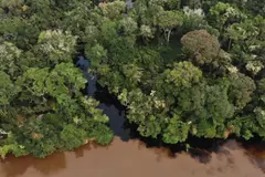 Investigación revela que ríos africanos emiten CO₂ antiguo, alarmando a científicos