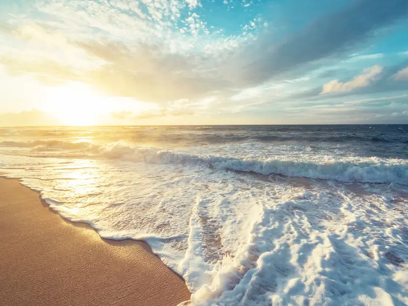 El Océano Índico se dulcifica rápidamente, alterando la vida marina y el clima