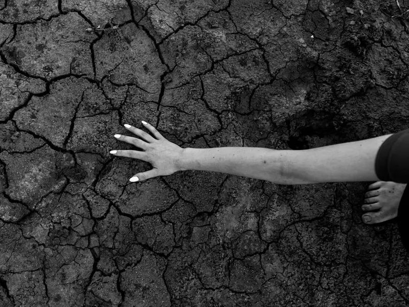 El cambio climático podría acabar con el 36% de la biodiversidad terrestre para 2085