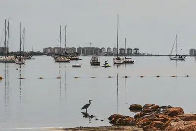 El MITECO y universidades impulsan la evaluación de la recuperación del Mar Menor