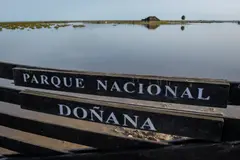 WWF exige recuperar marismas para restaurar equilibrio en Doñana