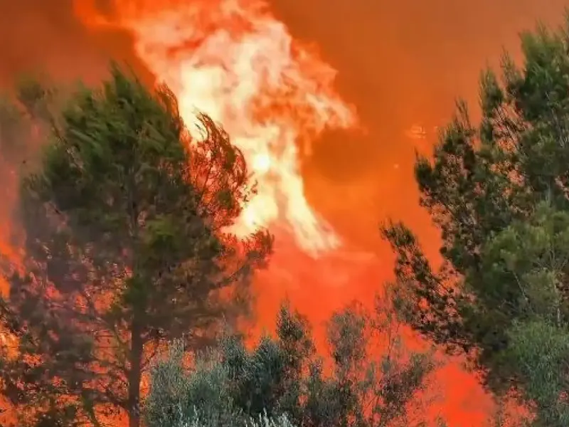 Incendios forestales en España: situaciones críticas en Castellón, Huesca, Girona y Catalunya