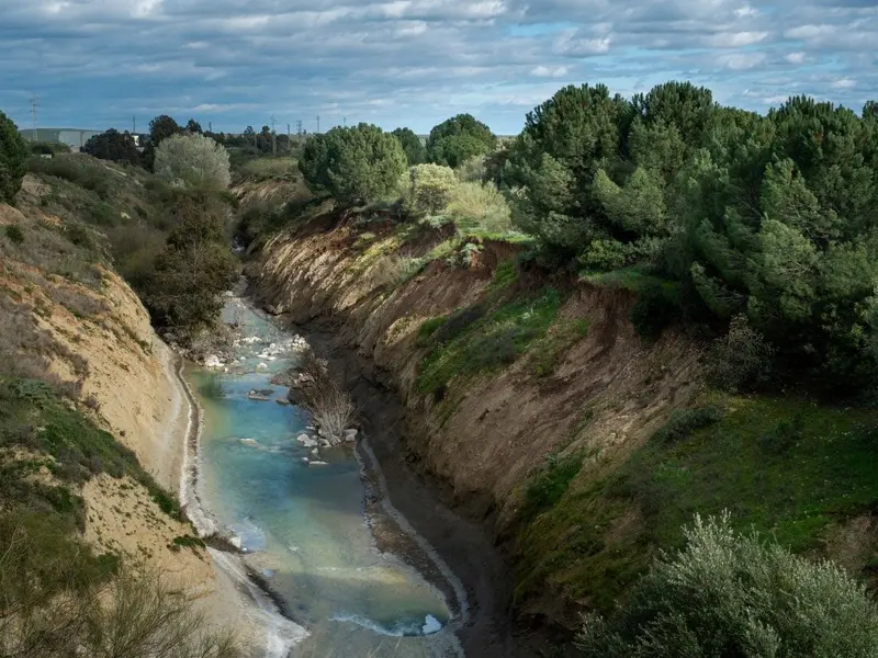 Greenpeace alerta sobre vertidos tóxicos en Aznalcóllar que amenazan el Guadalquivir