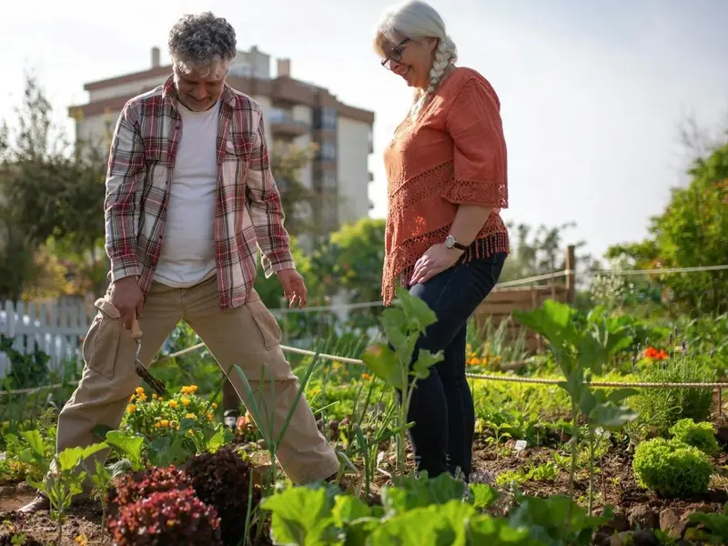 Crecimiento de huertos urbanos en España y su impacto en ciudades sostenibles