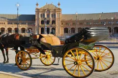 Pacma propone sustituir coches de caballos en Sevilla por calesas eléctricas sostenibles
