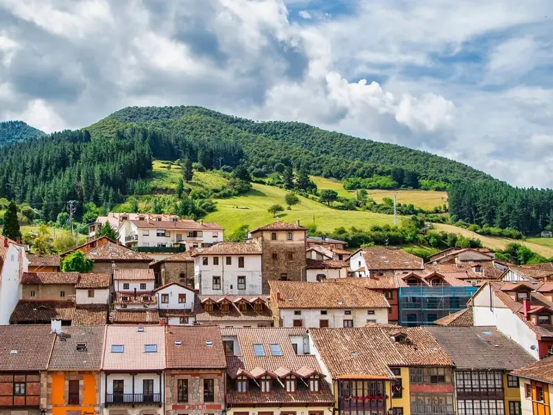El proyecto ForesteCCo impulsa la infraestructura verde para adaptarse al cambio climático en España