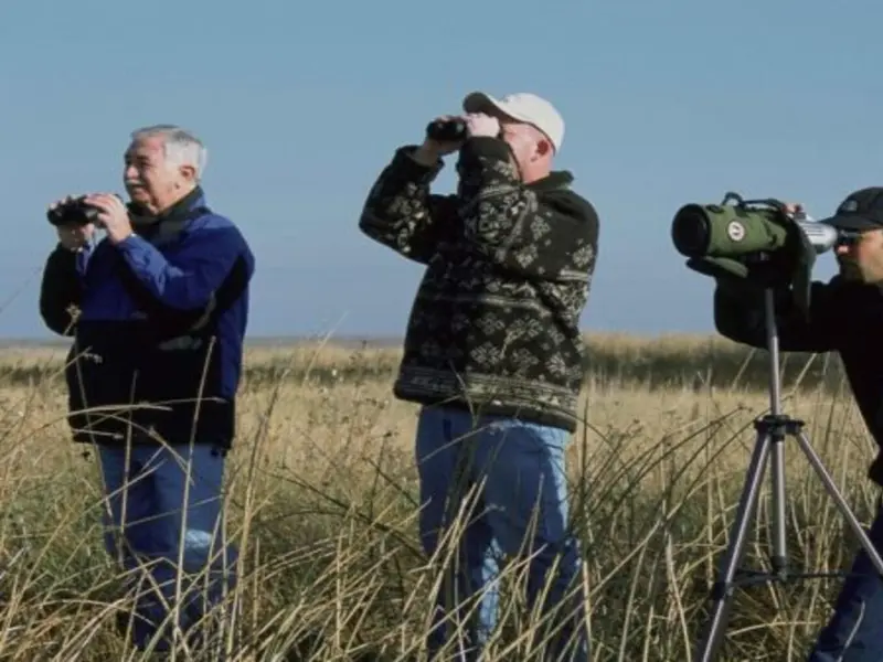 Cáceres acoge la XVI edición del Festival de las Aves para promover el turismo ornitológico