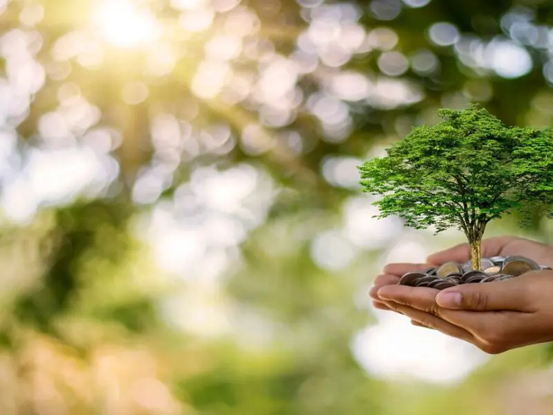 España avanza hacia una ética de la sostenibilidad ambiental y la protección de la biodiversidad