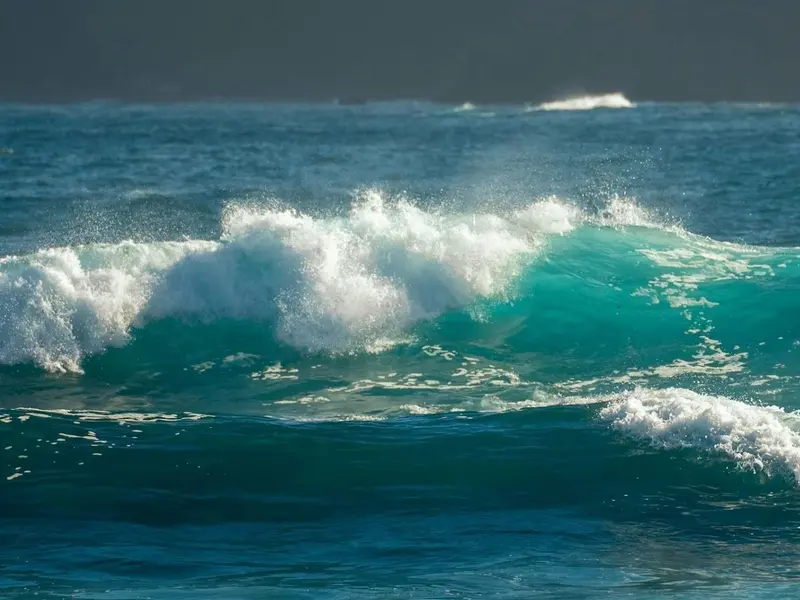 La microbasura del Atlántico Sur proviene de África y amenaza ecosistemas marinos