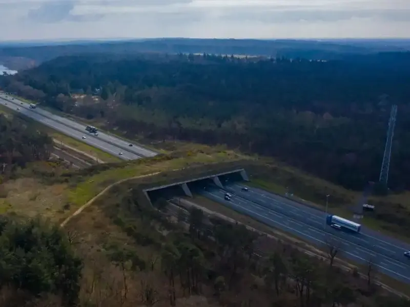 Madrid crea un ecoducto en la M-607 para proteger la fauna de atropellos
