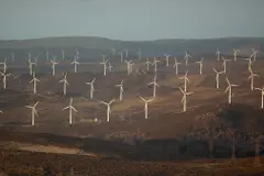 Greenpeace afirma que España podría lograr 100% de energía renovable en 2040