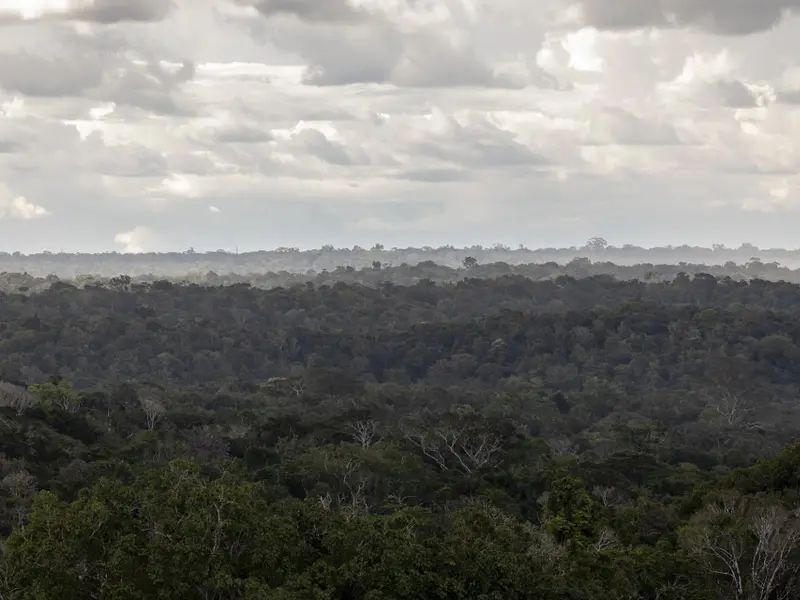 Brasil aprueba ley para construir ferrocarril que afectará la Amazonía