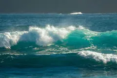 La microbasura del Atlántico Sur proviene de África y amenaza ecosistemas marinos