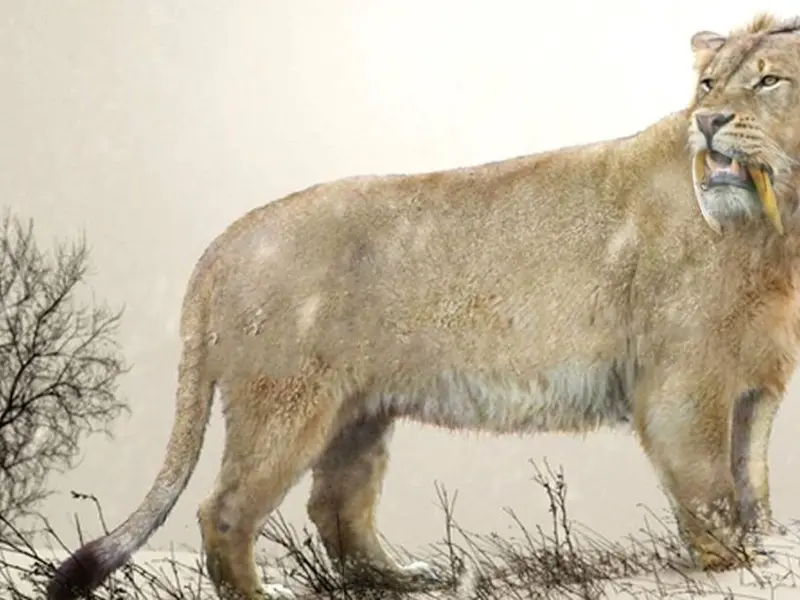 Investigación revela sorprendentes diferencias entre leones de las cavernas y actuales