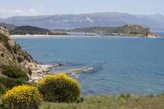 Proyectos de la familia Trump amenazan humedales en Albania y sus especies protegidas