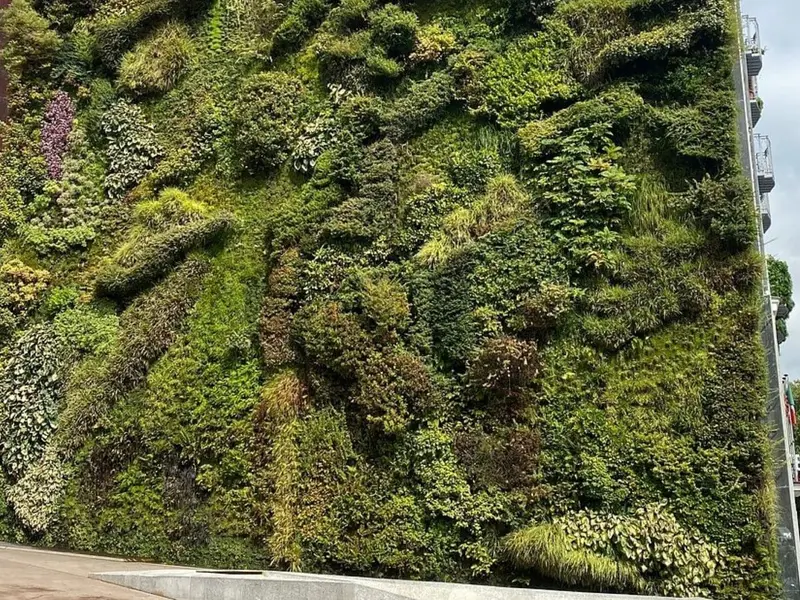 Madrid implementará jardines verticales en la M-30 para mejorar el aire y reducir el calor